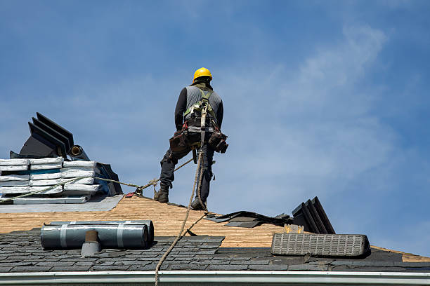 Professional Storm Damage Roof Repair technician working in Danvers, IL
